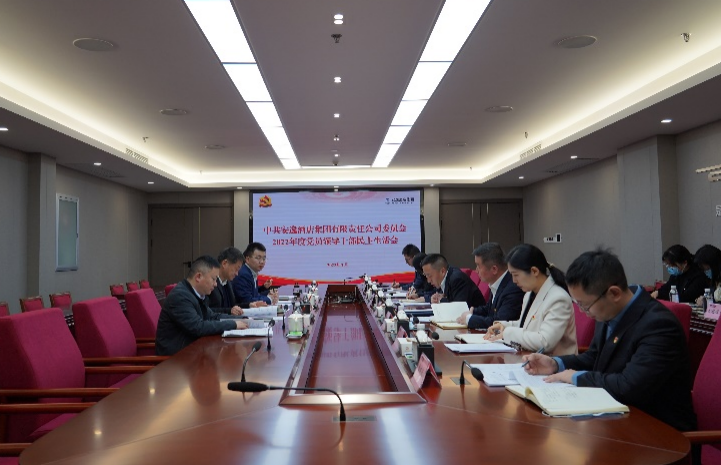 尊龙凯时集团党委书记、董事长任丁出席安逸酒店集团2022年度党员领导干部民主生活会